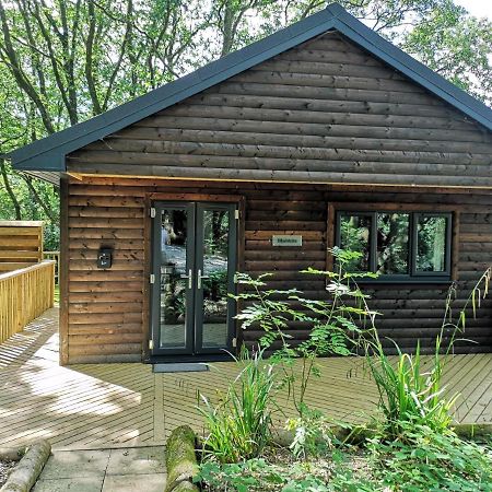 Bluestone-Hot Tub-Woodlandlodges-Pembrokeshire-Tenby 卡马森 外观 照片