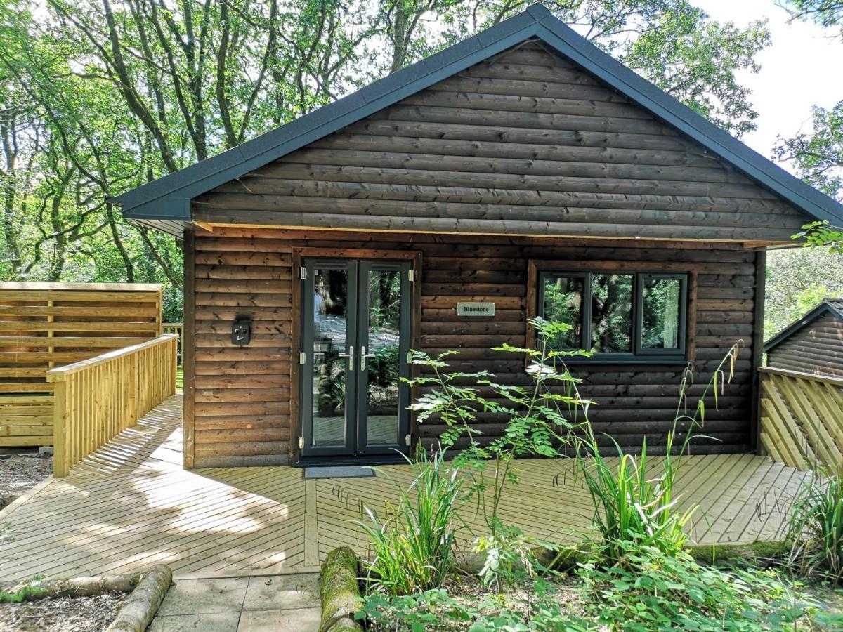 Bluestone-Hot Tub-Woodlandlodges-Pembrokeshire-Tenby 卡马森 外观 照片